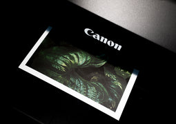 Catalog #4